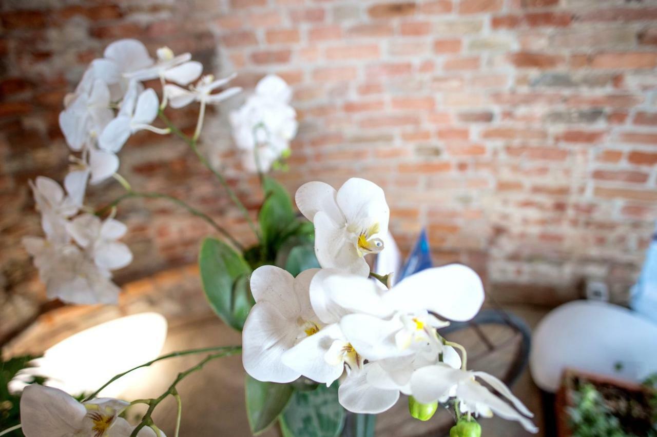 La Canonica - Charming Self-Catering Apartments In Nizza Monferrato Exteriér fotografie